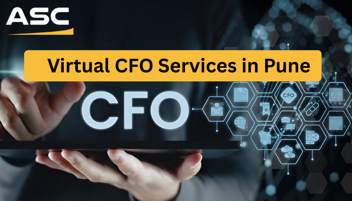 Virtual CFO Services in Pune